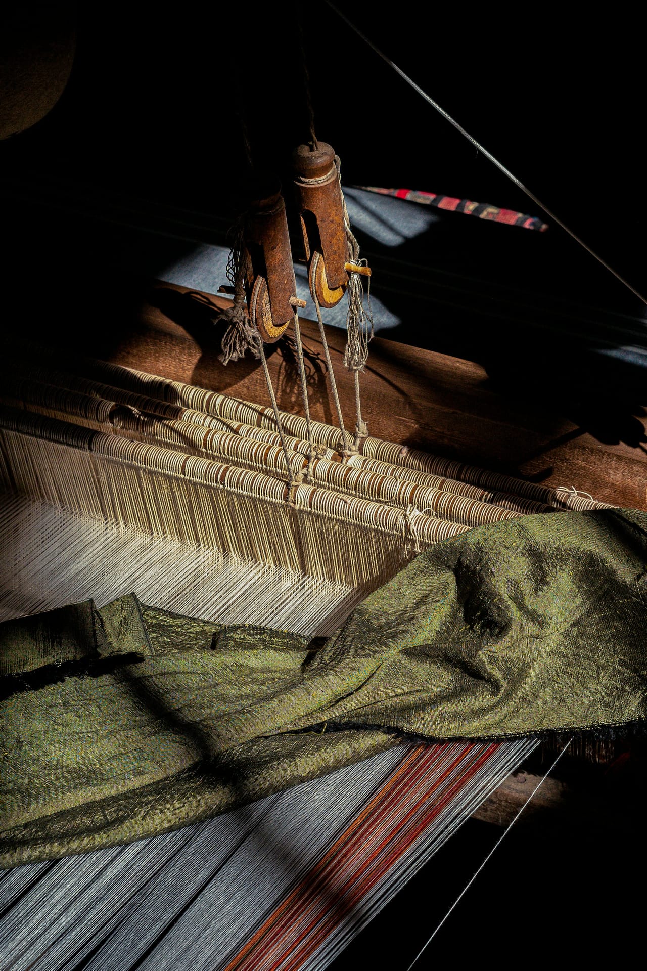 Detailed view of warp threads on a loom showing the threading pattern through heddles and the orderly arrangement of parallel warp ends